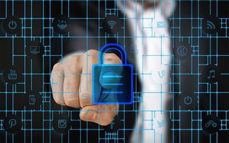 开云网站-数字化体育资源共享平台建设与管理，数字体育平台是什么